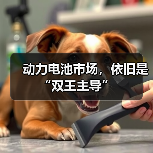 动力电池市场，依旧是“双王主导”（图4）